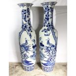 A large pair of chinese 20th century blue and white vases, signed. height 182cm