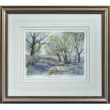 Angela Fielder, limited edition print #386/850 'Bluebell Woods' signed in pencil bottom right,