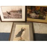 Thomas Mangelsen, three limited edition wildlife photographs, 14 x 20