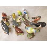 A collection of 11 Beswick birds to include a Greenfinch, model number 2105 and a Royal Doulton