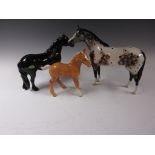 A Beswick figure of "Appaloosa" Stallion, a black Mare and a dun Colt