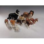 A Selection of eleven Beswick Dogs including collies, labrador, sheep dog, hound etc