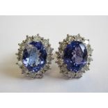 A pair of Tanzanite and Diamond Cluster Earrings each claw-set oval-cut tanzanite, approx 2.25cts,