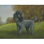 TERENCE MACKLIN. A Poodle in a Meadow, signed and dated 88, watercolour, 10 1/2 x 18 in