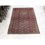 A bordered Turcoman Carpet with four rows of twelve guls on a red ground, 8ft 5in x 6ft 8in, worn