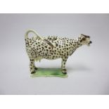 A 19th Century creamware Cow Creamer with spotted details on green shaped oblong base, 7in,