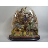 A Victorian Taxidermy Diorama of Birds in Naturalistic Setting under Glass Dome