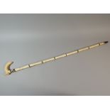 An Early 20th Century Ivory Walking Cane with Ebony Banding. 89cm Long.