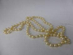 A Long Single Strand Cultured Pearl Necklace, Pearls 7.5 mm (107) approx 98 cms