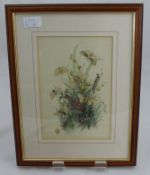 Three Original Hand Coloured Lithographs circa 1860, Plate LVII, Plate XI, Plate XLVIII depicting