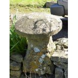 An Antique Cotswold Staddle Stone, approx 67 cms, square base. (gc).