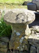 An Antique Cotswold Staddle Stone, approx 67 cms, square base. (gc).