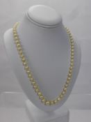 A Set of Graduated Cultured Pearls, from 3 to 14 mm, length 43 cms, wt 17 gms.