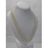 A Set of Graduated Cultured Pearls, from 3 to 14 mm, length 43 cms, wt 17 gms.