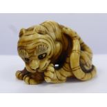 A Meiji Period Japanese Ivory Netsuke, depicting a crouching tiger licking his paw, character