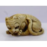 A Meiji Period Japanese Ivory Netsuke, depicting a crouching tiger licking his paw, character