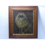 An Antique Oil on Canvas, depicting a Maine Coone Cat, approx 26 x 31 cms.