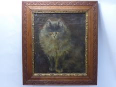 An Antique Oil on Canvas, depicting a Maine Coone Cat, approx 26 x 31 cms.