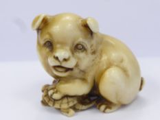 A Meiji Period Japanese Ivory Netsuke, of a puppy stood with his paw on a turtle, character marks to