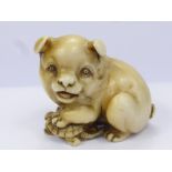 A Meiji Period Japanese Ivory Netsuke, of a puppy stood with his paw on a turtle, character marks to