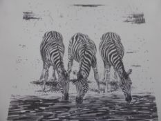 Tony Coss 20th Century, a large quantity of limited edition wild life prints including zebra at