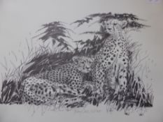 Tony Cross 20th Century, a quantity of limited edition prints including, cheetah, water buck,