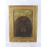 An Antique Oil on Panel, depicting a Spaniel, believed to be 17th Century, approx 31 x 21 cms