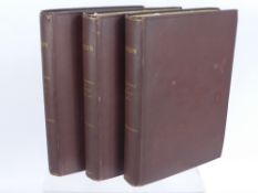 Architectural Interest, John Ruskin LL.D Three Volumes of 'The Stones of Venice', with