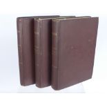 Architectural Interest, John Ruskin LL.D Three Volumes of 'The Stones of Venice', with