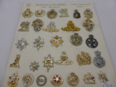 A Quantity of Modern Military Stay Bright Badges, including Northamptonshire Police, Wessex, Royal