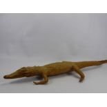 An Early 20th Century Taxidermy Leucistic (Albino) Juvenile Crocodile, approx 92 cms in length.