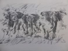 Tony Coss 20th Century, a large quantity of prints including cheetah, elephant and impala, approx 46