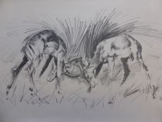 Tony Coss 20th Century, a large quantity of wildlife prints including, zebra, springbok and rhino,