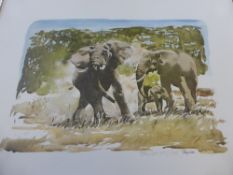 Tony Coss 20th Century, a quantity of coloured limited edition prints, including elephant family and