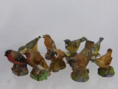 Collection of Royal Worcester Garden Bird Figures, including Chaffinch, Nuthatch, Great Tit,