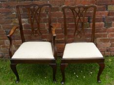 A Set of Chippendale Style Mahogany/Walnut Dining Chairs, including two carvers.