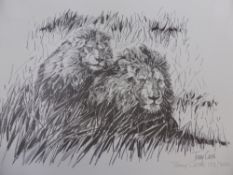 Tony Coss 20th Century, a large quantity of limited edition wild life prints including zebra,