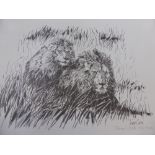 Tony Coss 20th Century, a large quantity of limited edition wild life prints including zebra,