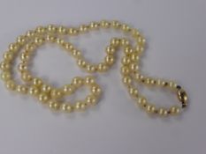 A Lady's Set of Cultured Pearls, approx 49 cms, pearls .6mm on 9 ct gold clasp.