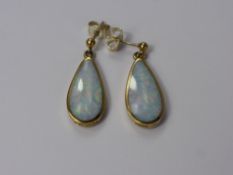 A Pair of 9 ct Gold Tear Form Opal Drop Earrings, approx 20 x 10 mm, approx total wt 3.7 gms.