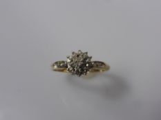 A Lady's 9 ct Yellow Gold Diamond Cluster Ring. 21 x 1 pt dias, size O, approx 1.8 gms