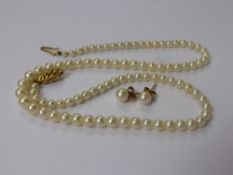 A Set of Vintage Graduated Cultured Pearls on 9 ct Gold Clasp, approx 38 cms long, total wt 12.2