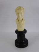 A Circa 1820 Ivorine Study of the Duke of Wellington, mounted on an ebonised based, approx 15 cms