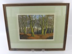 Alice Barnwell, Contemporary Watercolour, entitled 'Lickey Beech Woods', approx 54 x 44 cms