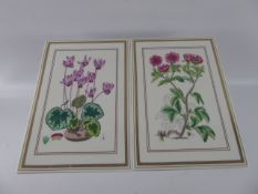 Two Royal Doulton Tiles, from the Botanical Study Series, Potentilla and Cyclaman. (2)