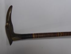 An Antique Mixed Wood Cane, the carved horn handle in the form of a crane.