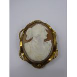 A Lady's Gold Metal Shell Cameo, together with a yellow stone bracelet.