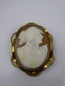 A Lady's Gold Metal Shell Cameo, together with a yellow stone bracelet.