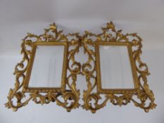 A Pair of Brass Picture Frames, of foliate design, approx 10 x 29 cms.