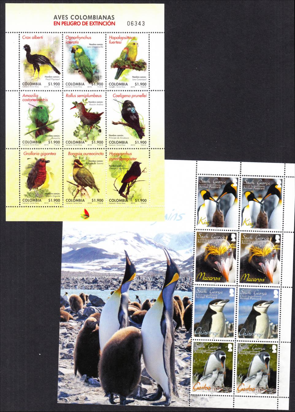 Birds: French Antarctic Min sheets, Colombia 2010 Birds & South Georgia 2010 Bird sheet, all U/M.